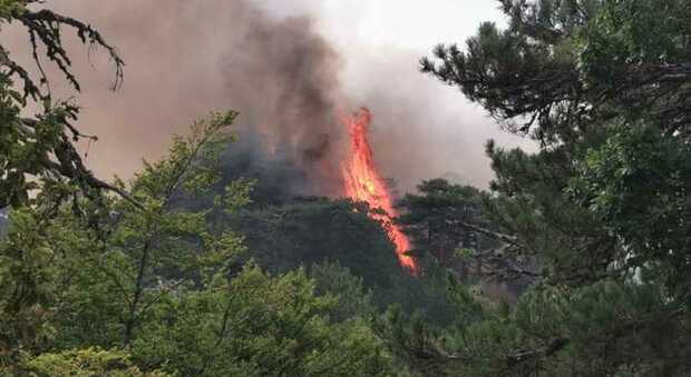 Allarme incendi nel Sud Italia, bruciano Sicilia e Calabria: più di 400 interventi in un solo giorno