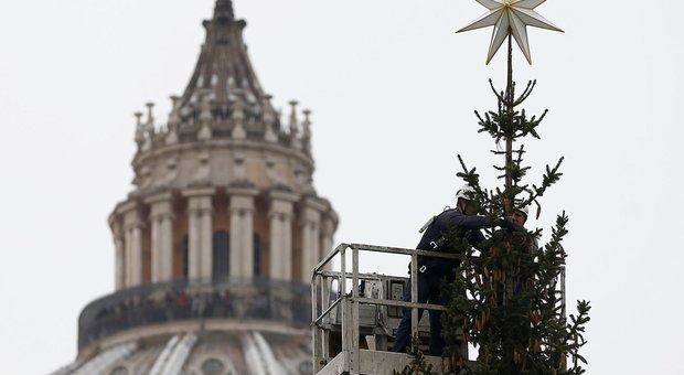 L'albero di Natale per il Papa scatena polemiche sul web, la "difesa" del sindaco