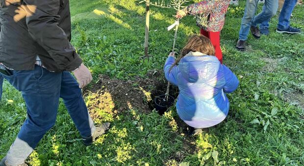Narni, un nuovo albero per ogni bambino nato nel 2022 nei quartieri di Miriano, Santa Lucia e Berardozzo