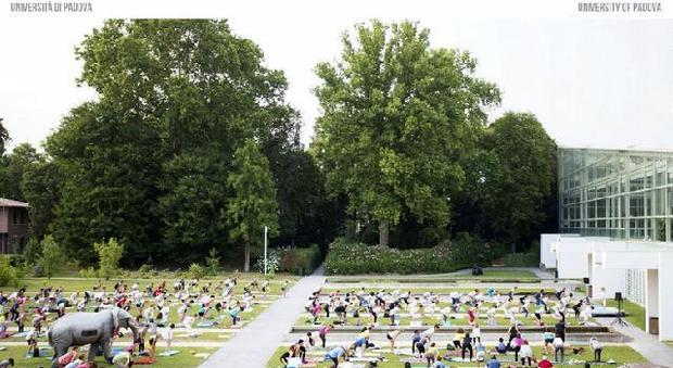 Yoga, in 300 all'Orto Botanico per salutare l'arrivo dell'estate