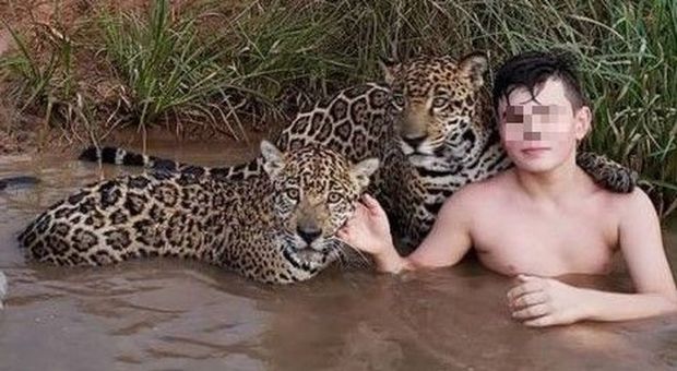 Il bimbo che gioca e si mette in posa coi giaguari, la storia vera dietro la foto virale (BBC/Leandro Silveira)