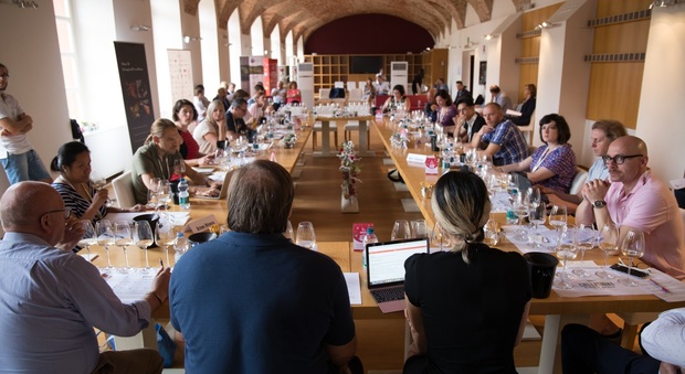 Non solo Verdicchio: vini delle Marche spopolano alle "Collisioni" a Barolo