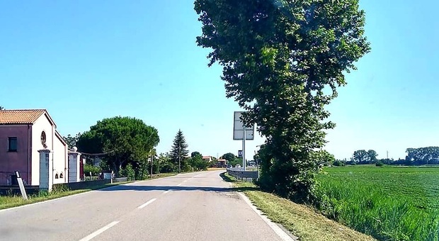 Nuovo autovelox in arrivo sulla regionale Cavarzere-Adria