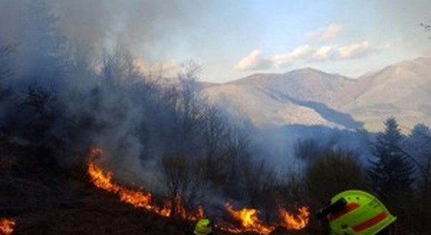 Vasto incendio a Padula, i volontari spengono le fiamme | Video