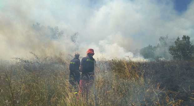 Boschi in fiamme in Irpinia, in fumo due ettari di macchia mediterranea