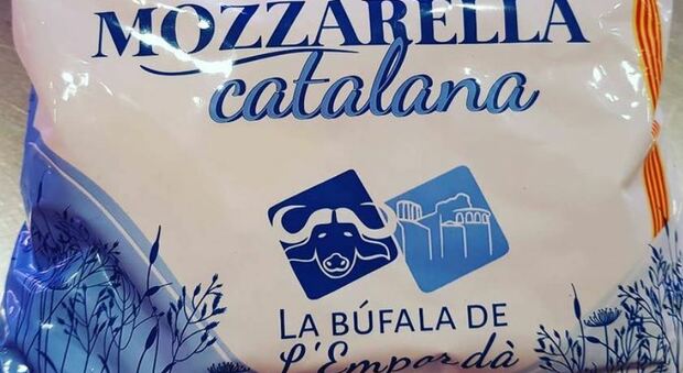 Vendeva falsa Mozzarella di Bufala: denunciato caseificio spagnolo per frode alimentare