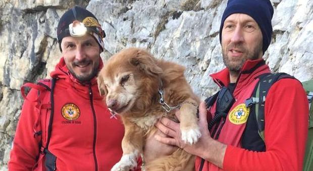 Slash, cane di 17 anni, cade in un canalone di 30 metri: salvato dal Soccorso alpino