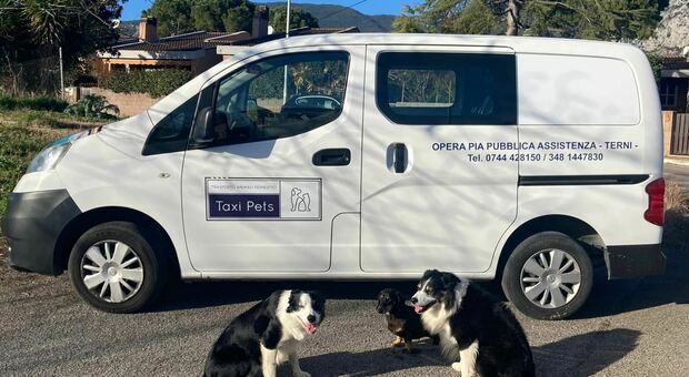 A Terni c'è il "Taxi pet", servizio a domicilio per chi non può portare il cane dal veterinario