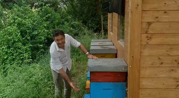 Casa in legno per conoscere le api, ci sono otto arnie collegate alle pareti