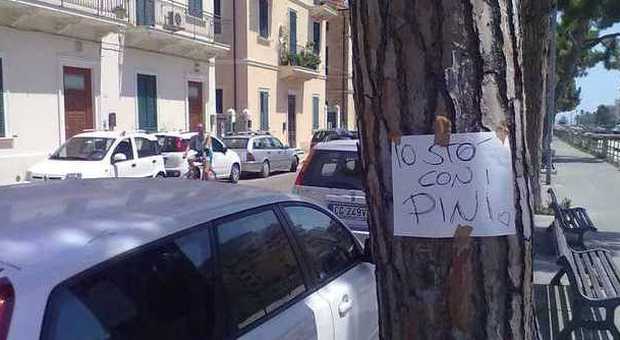 A San Benedetto prosegue la protesta Appaiono cartelli per salvare i pini