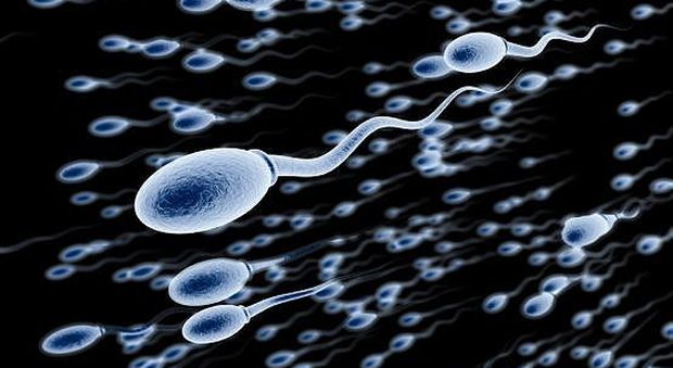 Uomini sterili, dimezzato il numero medio di spermatozoi: uno studio accusa la plastica