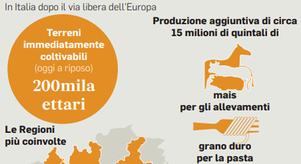 Sì a nuovi granai: in Italia coltivabili altri 200mila ettari