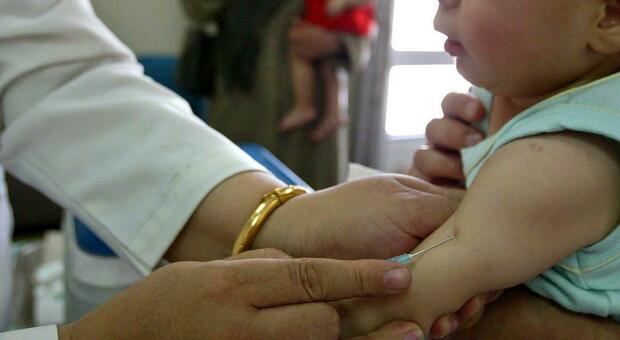 Pfizer, Marino: «Entro novembre pronto il vaccino per i neonati e fino agli 11 anni»