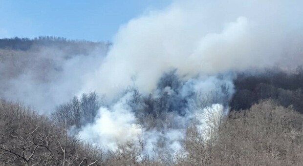 Brucia rifiuti agricoli, vasto incendio nei boschi: denunciato in Irpinia