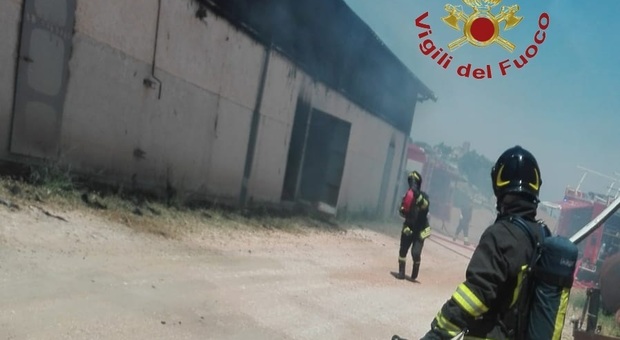San Severino, furioso incendio devasta un allevamento: strage di bovini