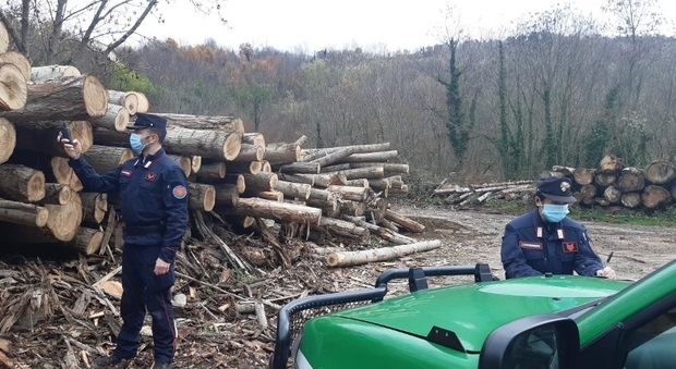 Abusi edilizi vicino al fiume, scattano tre denunce e le demolizioni, blitz dei carabinieri forestali