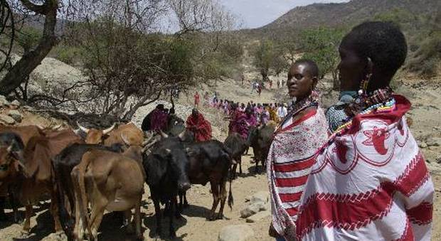 Tanzania, Masai scacciati dal turismo dei safari