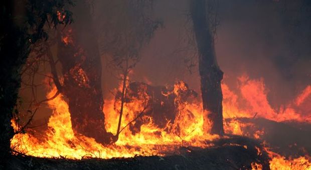 Caso incendi in Amazzonia sbarca su tavolo G7