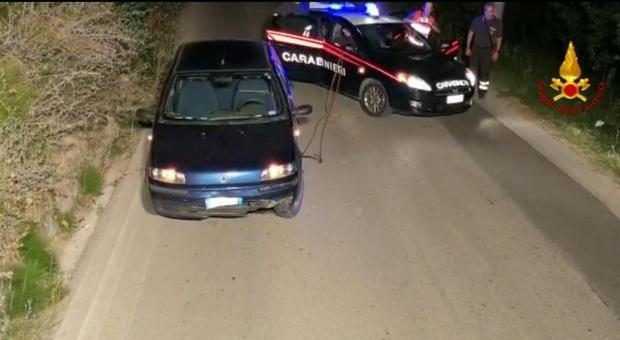 Cinghiale finisce sotto un'auto, salvato da vigili del fuoco e carabinieri