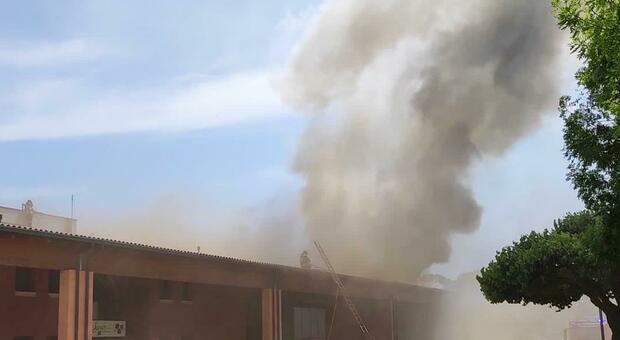 Incendio nell'azienda agricola Sandre di Salgareda, le fiamme divampate dai pannelli fotovoltaici