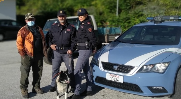 Cane rarissimo salvato dai poliziotti: Laika trovata sulla statale, in mezzo a camion e auto