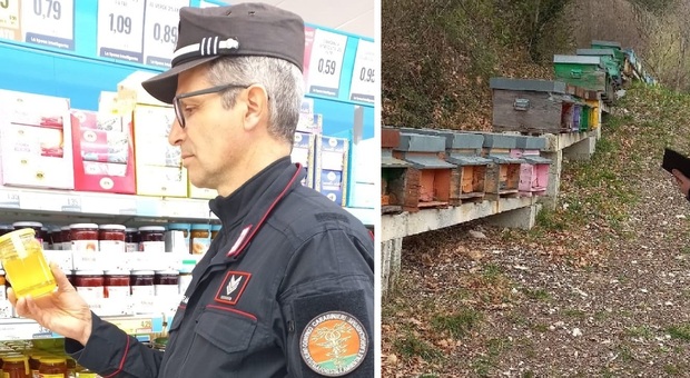 Il miele d'acacia in realtà e millefiori: denunciata per frode l'azienda agricola