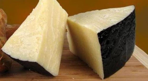 Pecorino romano, tra Lazio e Sardegna scoppia la guerra del formaggio