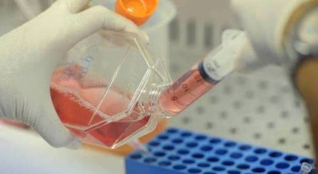 Scoperto il gene che "spegne" il cancro: uno studio italiano può salvare molte vite