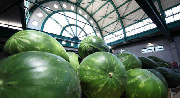 Mercato ortofrutticolo, è boom di cocomeri e meloni: le vendite risollevano il settore
