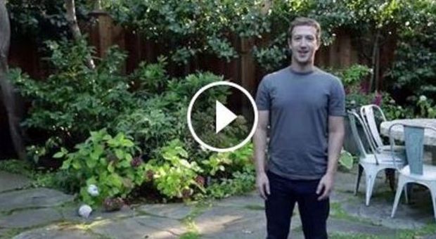 Zuckerberg, secchiata d'acqua gelata in testa per beneficenza