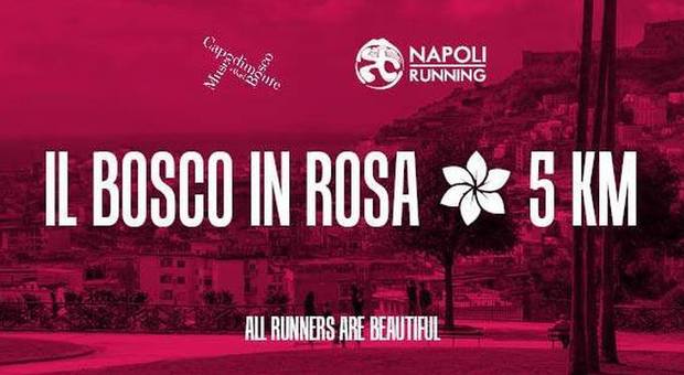 Il Bosco in Rosa