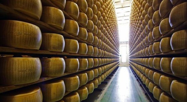 Dazi Usa, dal parmigiano ai vini: salasso da un miliardo