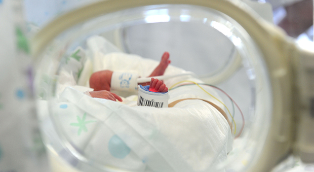 Neonato nasce morto dopo il parto, l'ospedale: "Caso non frequente ma atteso