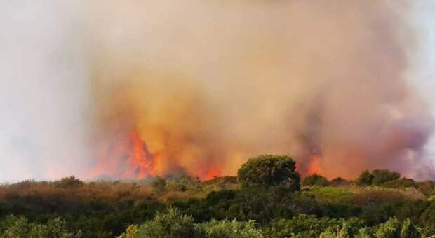 Brucia il litorale di Porto Cesareo: a fuoco oltre un chilometro di costa in zona protetta