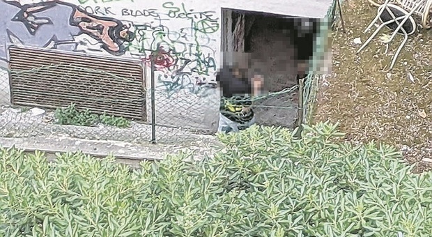 Blitz dei giovani vandali al PalaVeneto: rubano i palloni e giocano con gli estintori