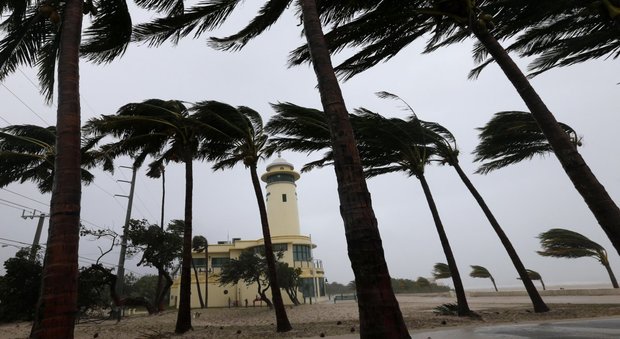 «Non sparate all'uragano»: l'incredibile appello di uno sceriffo della Florida