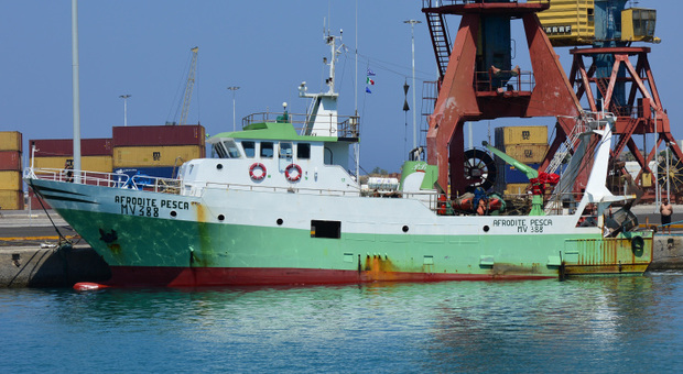 Conte: «La Libia rilascerà i due pescherecci siciliani sequestrati mercoledì»