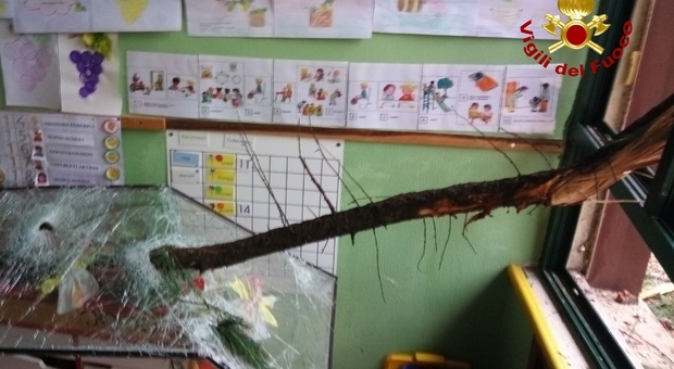 Paura all'asilo: saetta trancia una pianta che s'abbatte sull'edificio