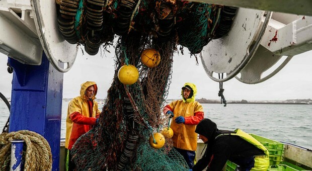Commissione, Regno Unito sta violando accordi su pesca