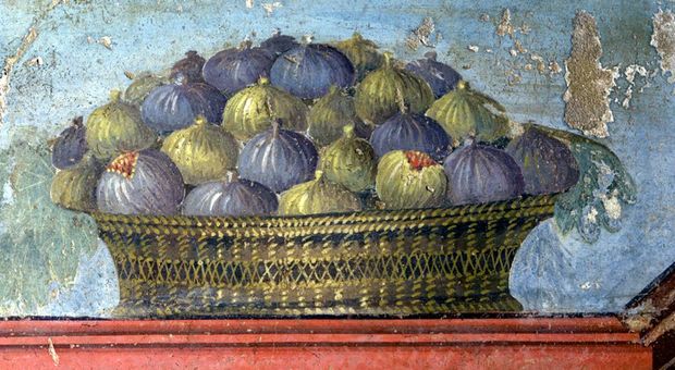 Miele, datteri e fichi secchi per il Capodanno della Pompei di duemila anni fa