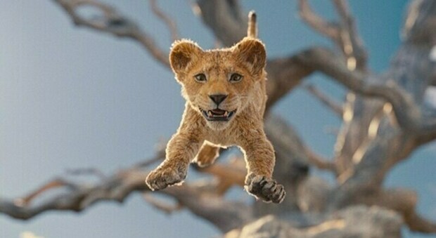 Mufasa, chi sono i doppiatori del nuovo film Disney: ecco le nuove voci de Il Re Leone