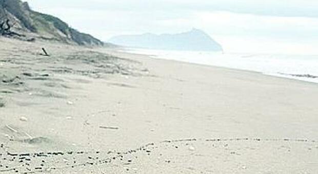 Spuntoni metallici riemergono dalla spiaggia di Sabaudia: sono ordigni bellici?