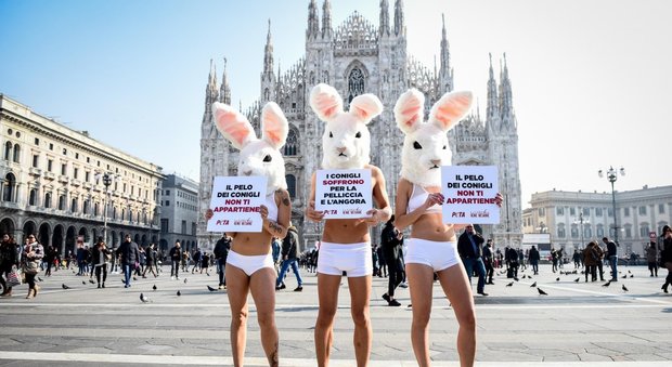 Milano, le attiviste della Peta in lingerie e tacchi a spillo contro le pellicce