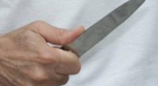 Tenta di aggredire i carabinieri con un coltello da cucina: arrestato