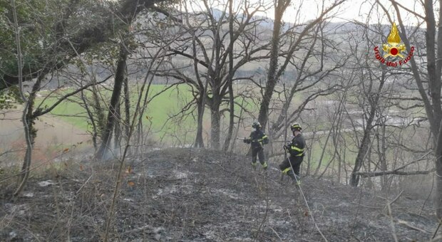 Incendio a Urbania, in fiamme un bosco: 5 automezzi dei vigili del fuoco al lavoro
