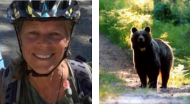 Montana, orso trascina fuori dalla tenda una donna e la sbrana: ucciso dopo inseguimento di 3 giorni