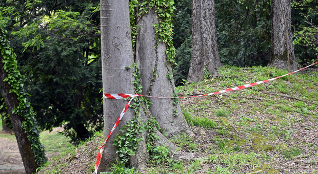 Parco Querini, cinque alberi dovranno essere abbattuti. «Prioritaria la sicurezza»