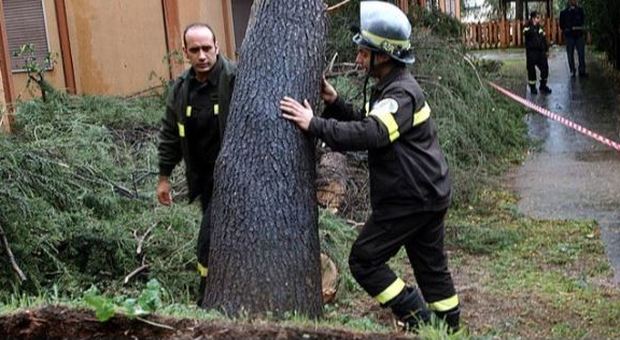 Roma, albero su un'auto: morto un anziano