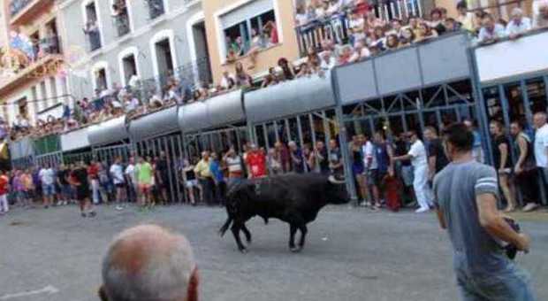 Filma i tori con il telefonino, turista muore incornato: festa finisce in tragedia in Spagna