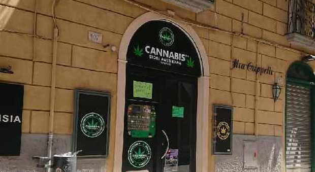 Il divieto di vendita della cannabis, a Viterbo la rabbia degli imprenditori: «E il nostro investimento?»